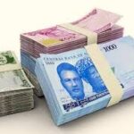 Nigerian Naira Notes