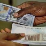 Naira Dollar Notes