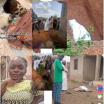 images - 2026-02-06T084413.195