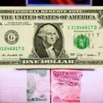 images - 2026-03-07T082752.965